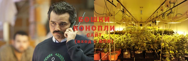 каннабис Аркадак